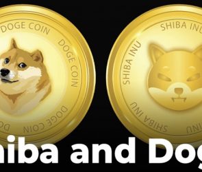Shiba و Doge به دو موضوع محبوب در جامعه تبدیل شدند، به همین دلیل است که نوسان در بازار وجود دارد