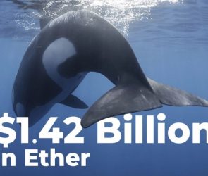 نهنگ ها و بایننس بیش از 1.4 میلیارد دلار اتریوم را به کیف پول خود منتقل کردند